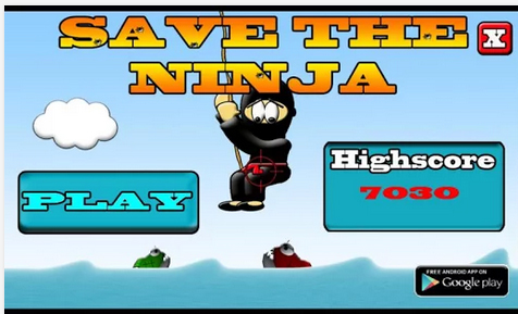 Ninja2.jpg