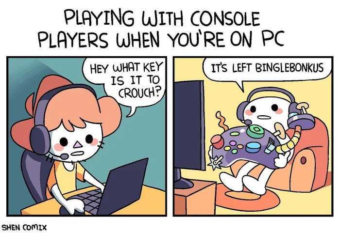 playing_with_console_players_when_you_are_on_pc.jpg